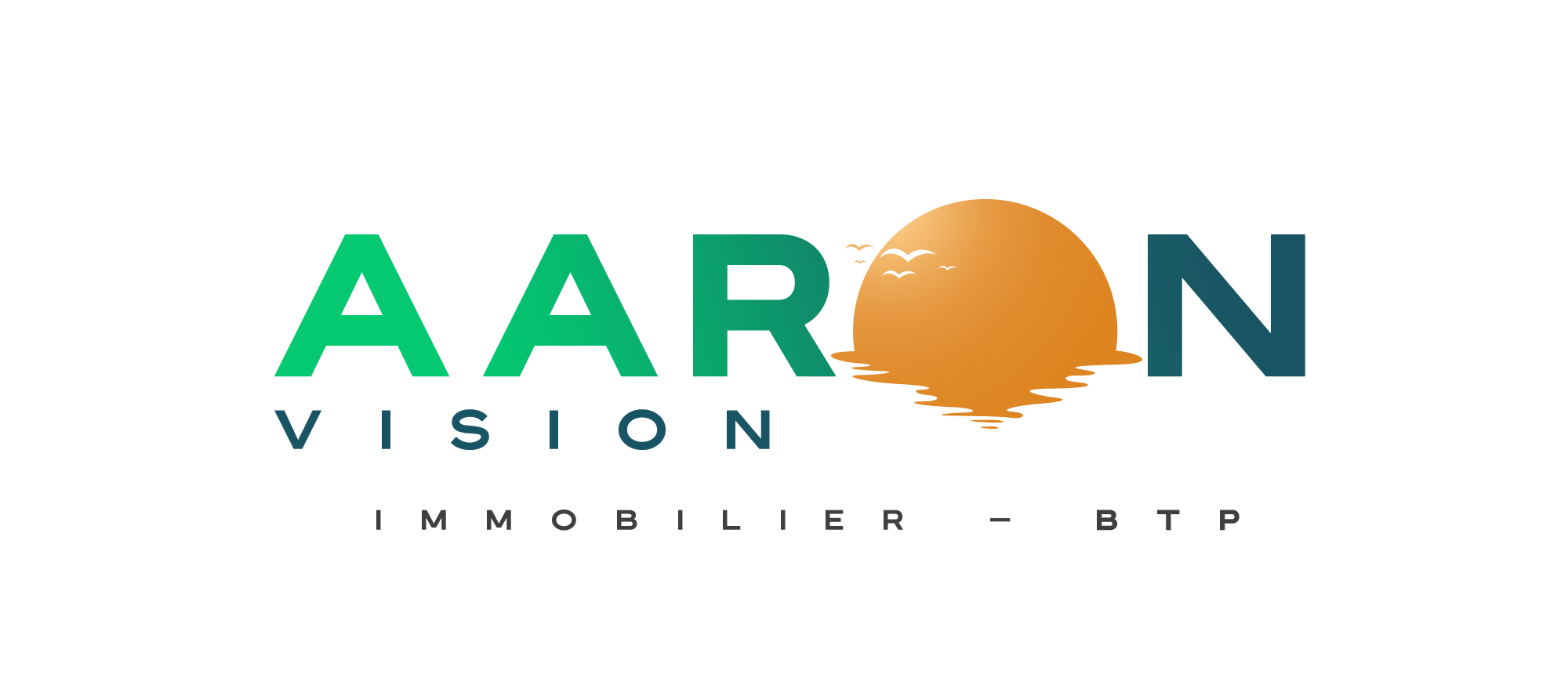 aaronvision.ci